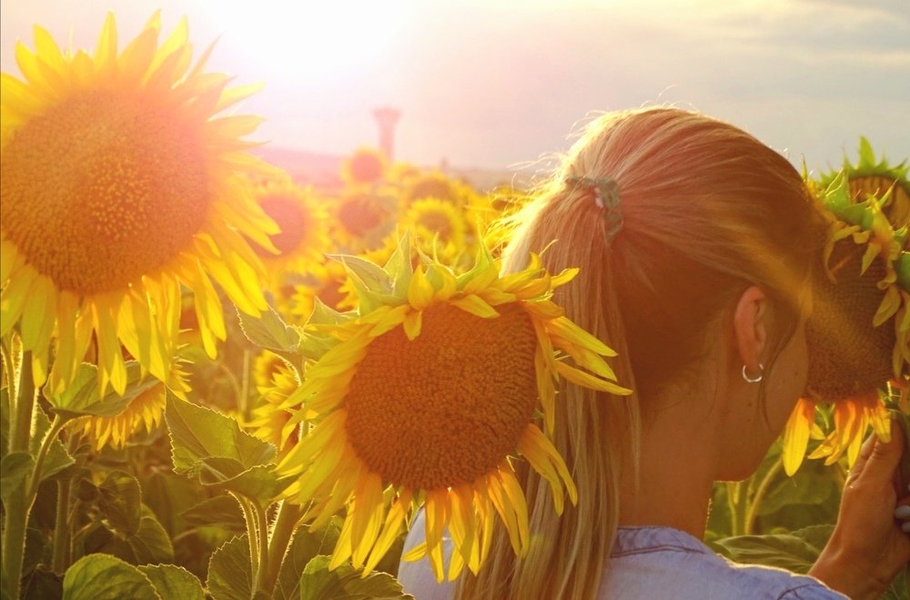 Фотография автора Remus Lucescu