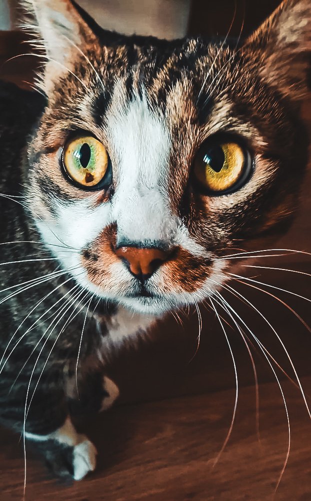 Photograph by Сергей Рязанов