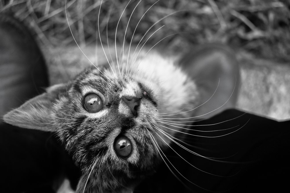 Photograph by Ivana Bozinovic