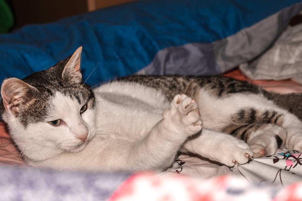 Photograph by Ivana Bozinovic