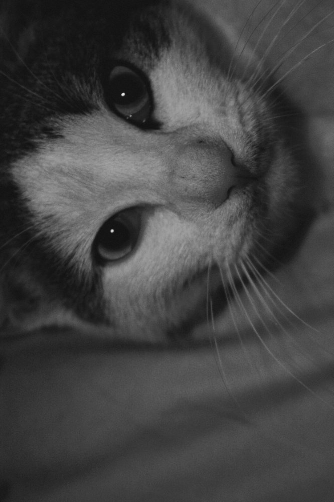 Photograph by Ivana Bozinovic