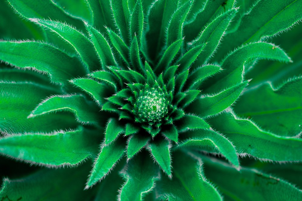 Photograph by Ivana Bozinovic