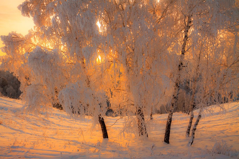 Photograph by Николай В.М.