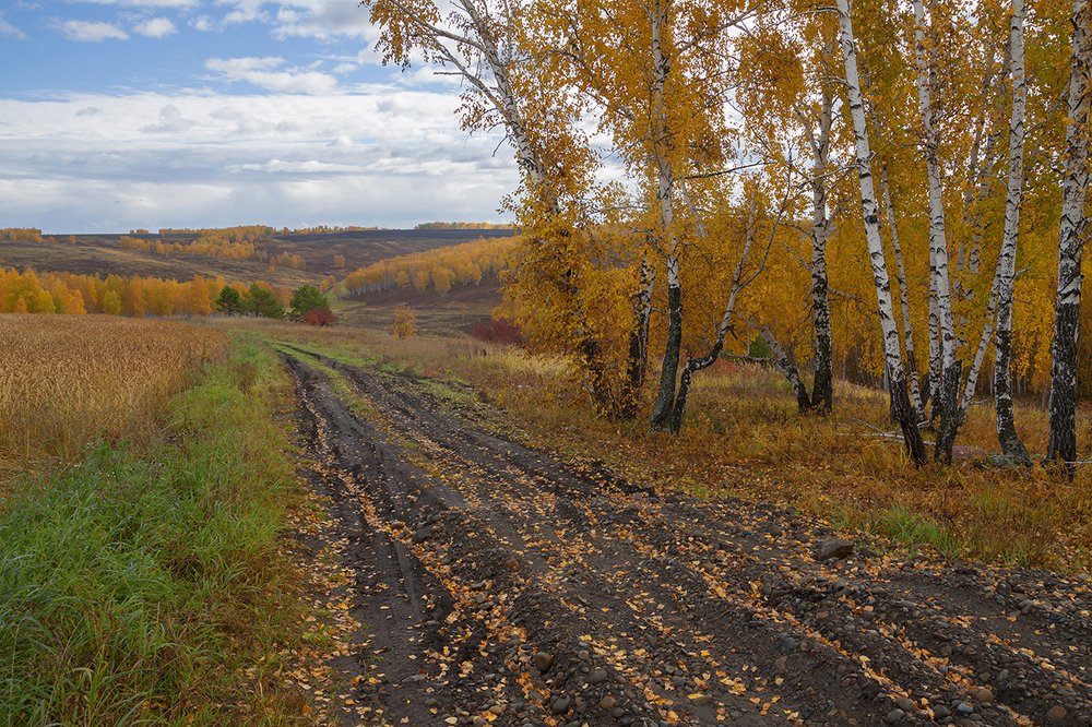 Photograph by Николай В.М.