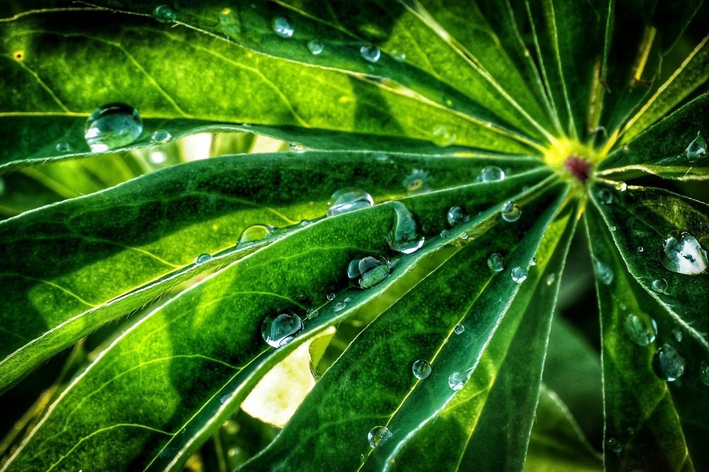 Photograph by Илья Шамин