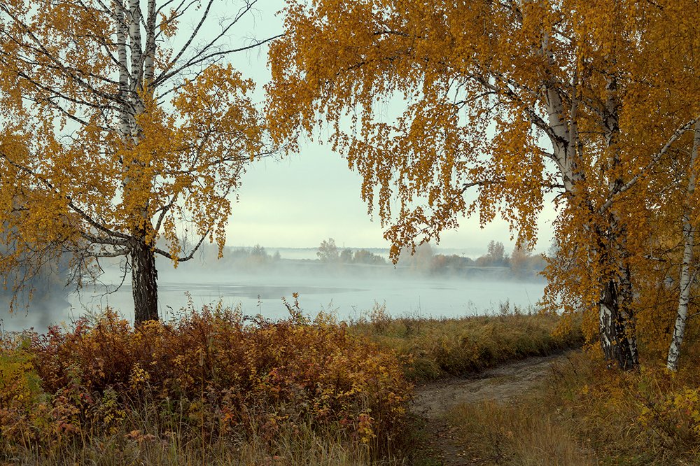 Photograph by Николай В.М.