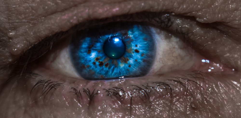 Photograph by Ivana Bozinovic