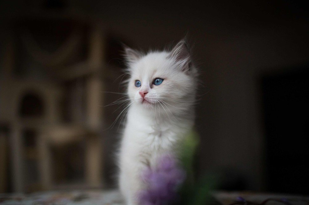 Фотография автора Tatiana Weber