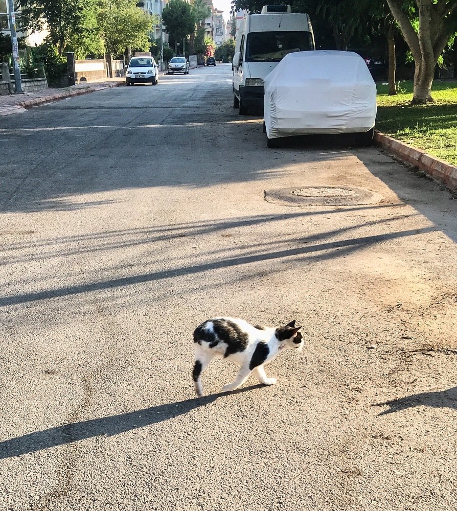 Photograph by Эльдар Байкиев