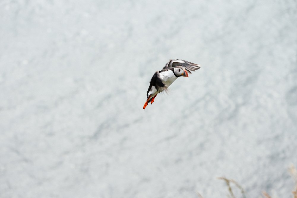 Photograph by Максим Бозбей