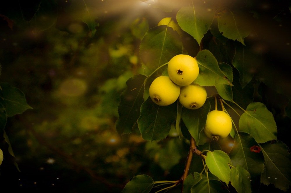 Photograph by Alena Shkurlakova