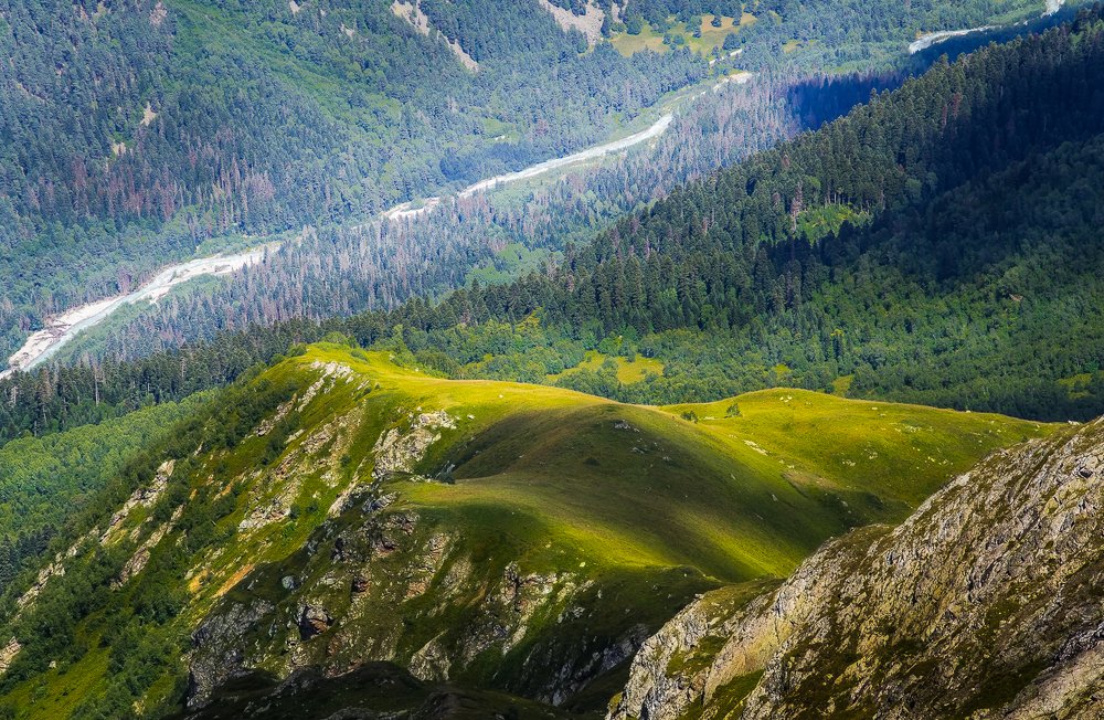Фотография автора Светлана Морозова