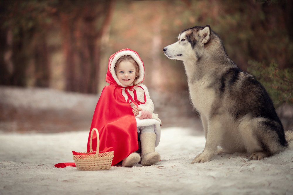 Photograph by Татьяна Гурова