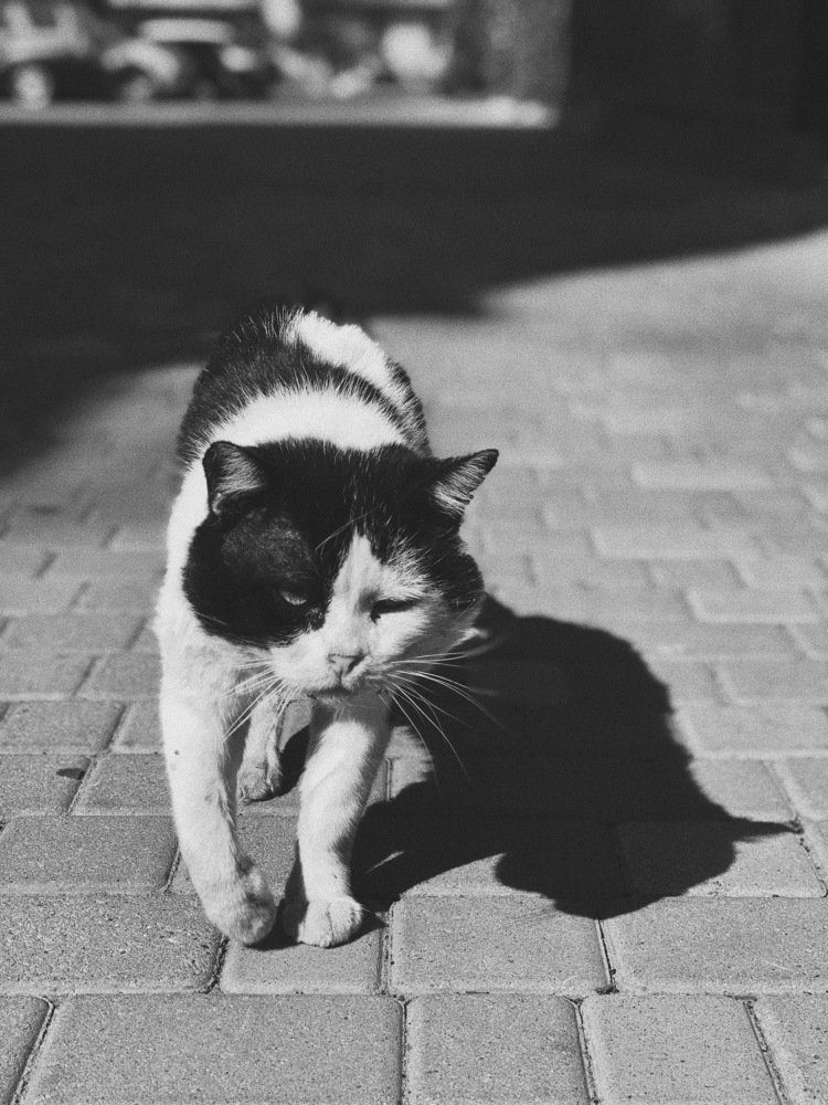 Photograph by Сергей Дубровский