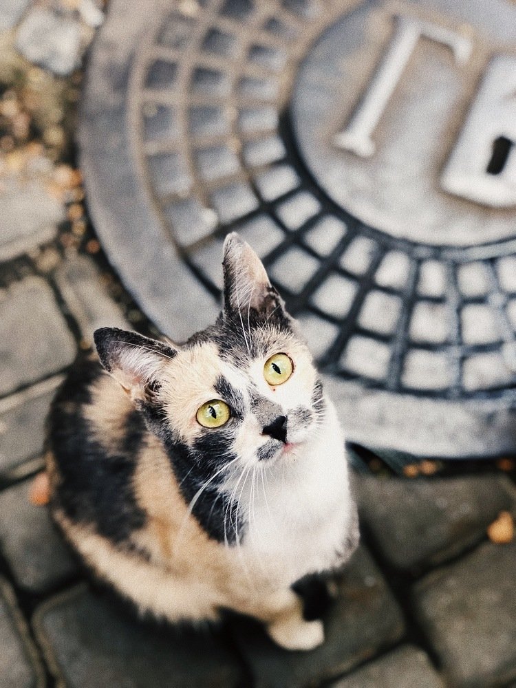 Photograph by Сергей Дубровский