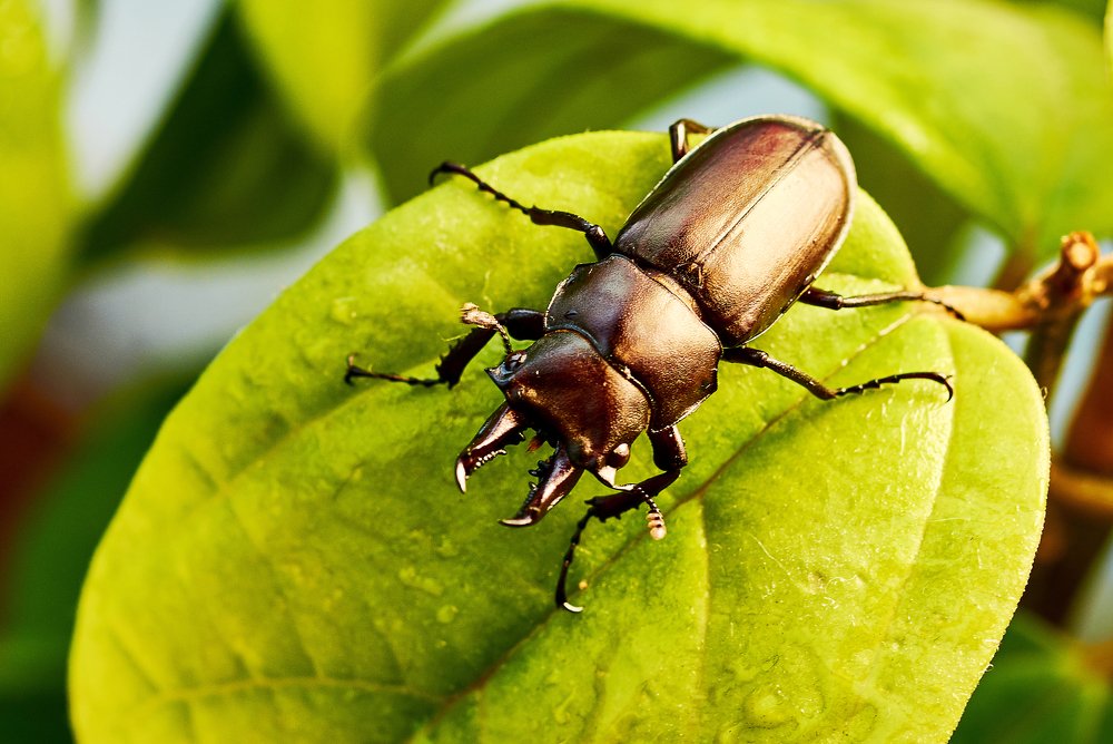 Photograph by Валерий Гончаров