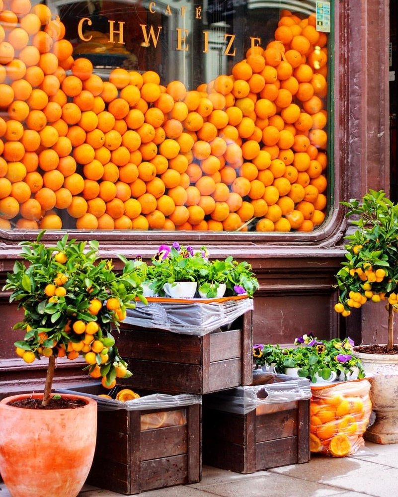 Фотография автора Мария Сурмачева