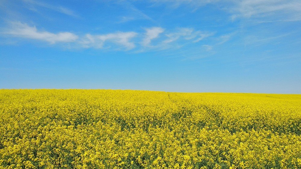 Photograph by Александр Быдрицкий