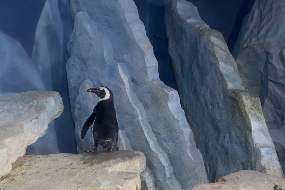 Photograph by Савина Галина