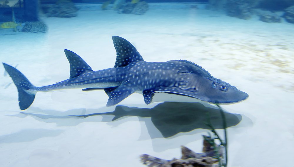 Photograph by Савина Галина