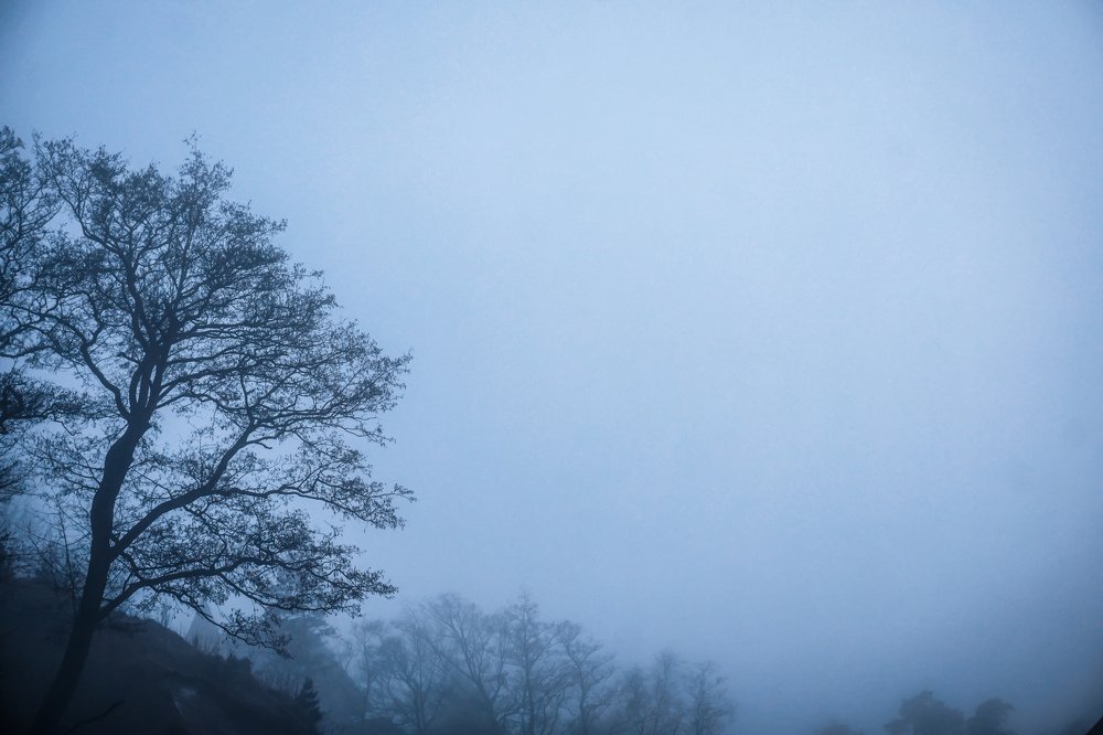 Photograph by Екатерина Качалина