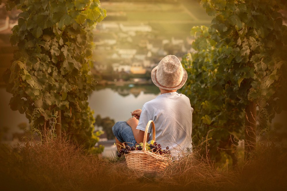 Photograph by Maria Hij