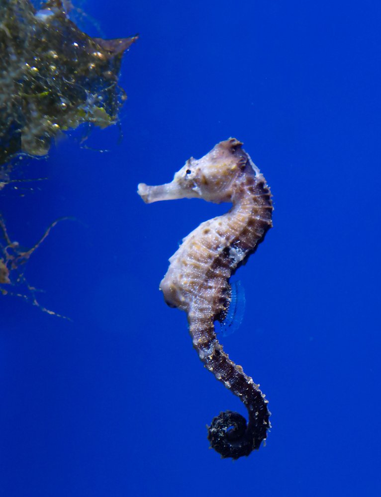 Photograph by Савина Галина