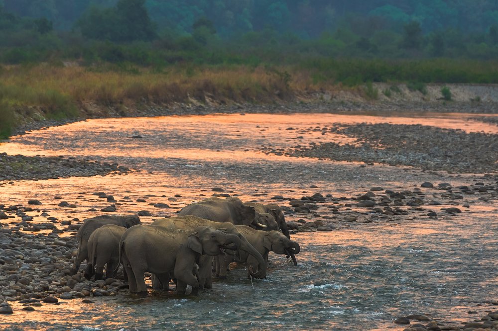 Photograph by Krishnaprasad N