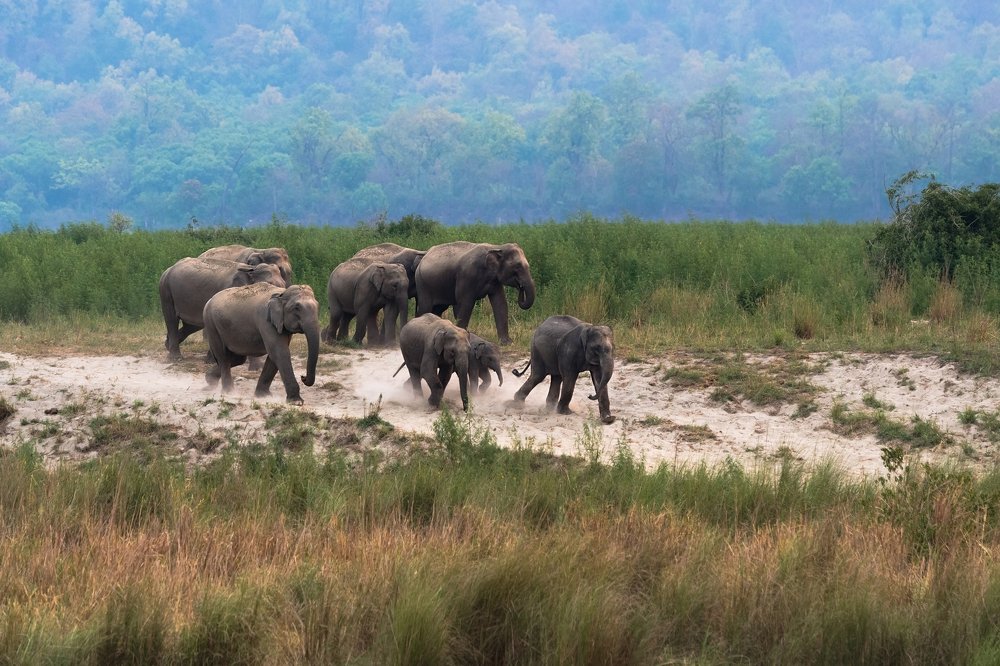 Photograph by Krishnaprasad N