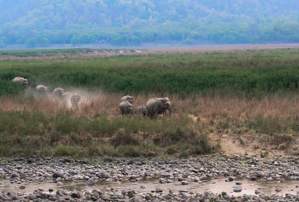 Photograph by Krishnaprasad N