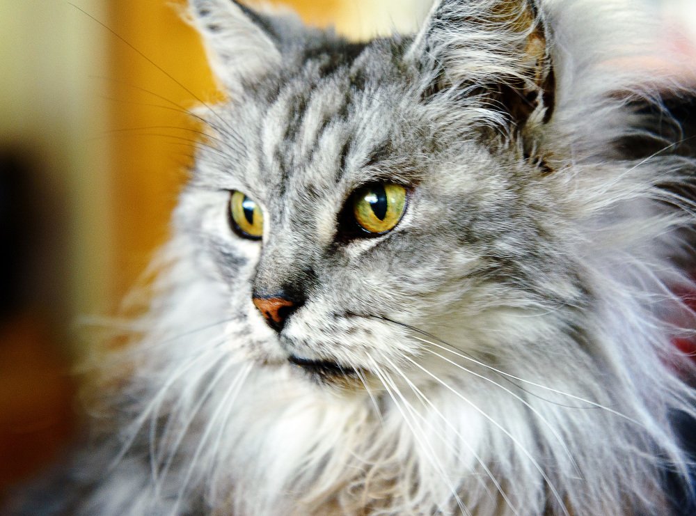 Photograph by Белов Сергей