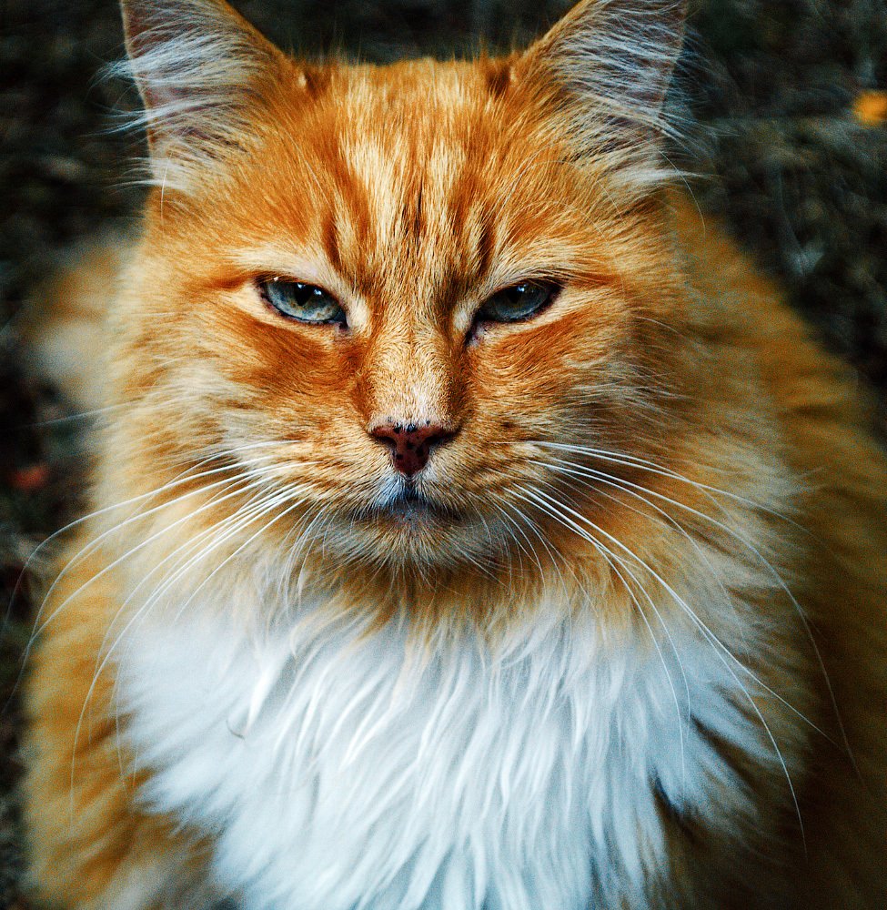 Photograph by Белов Сергей