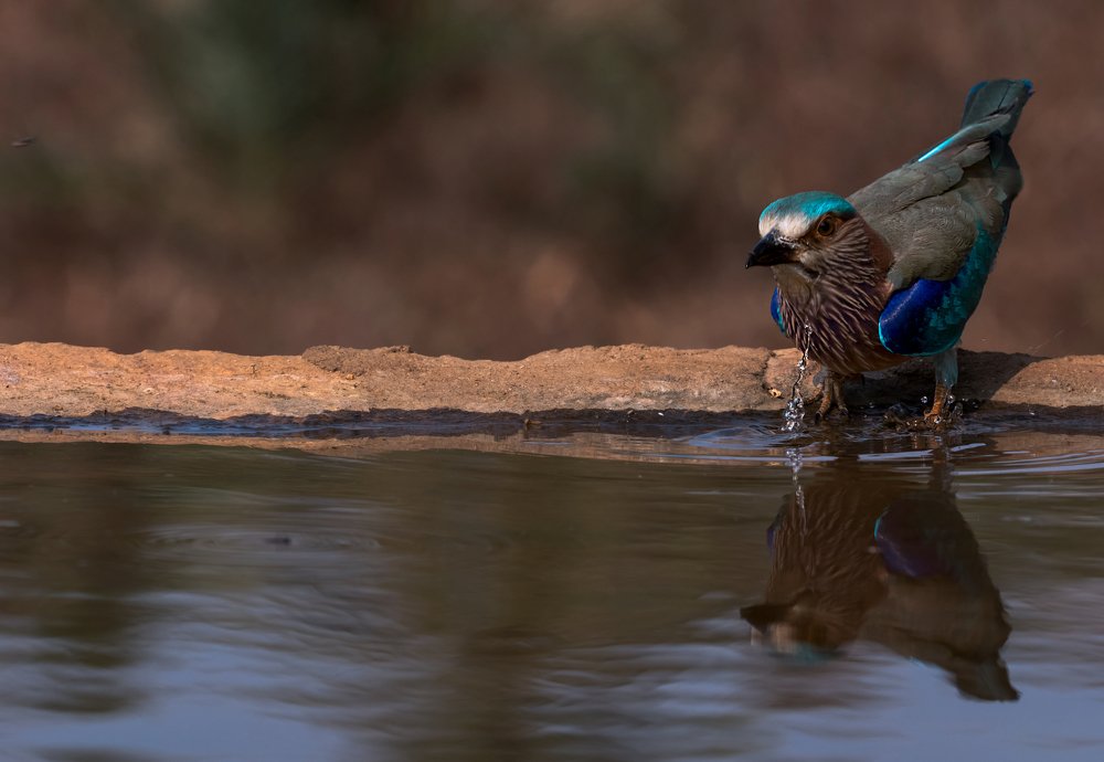 Photograph by Krishnaprasad N