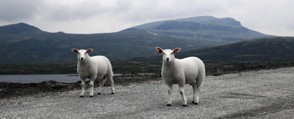 Photograph by Александр Цабель