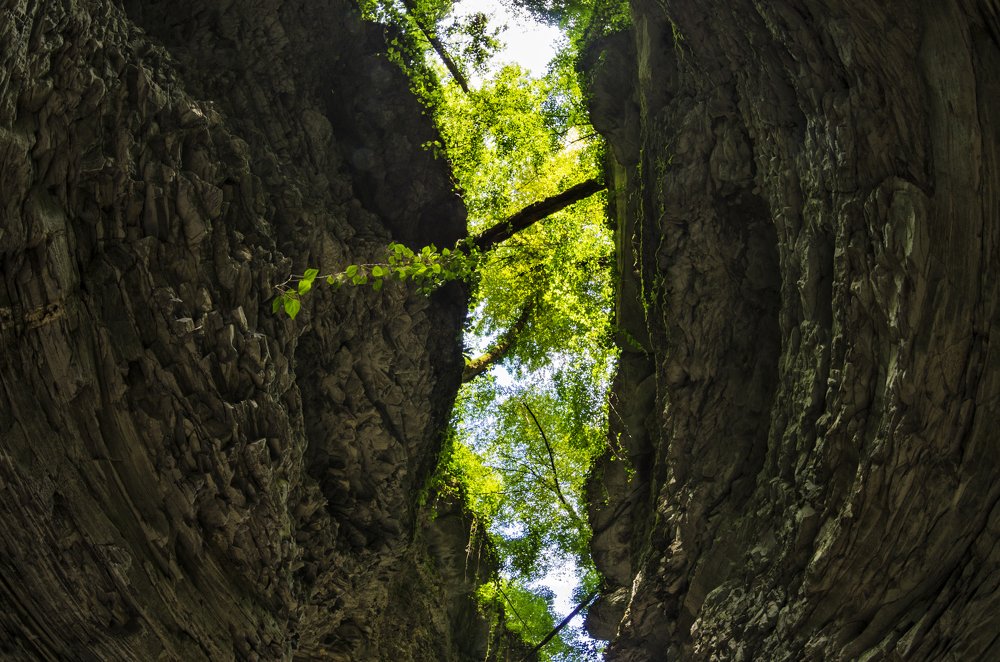 Photograph by Антон Литвин