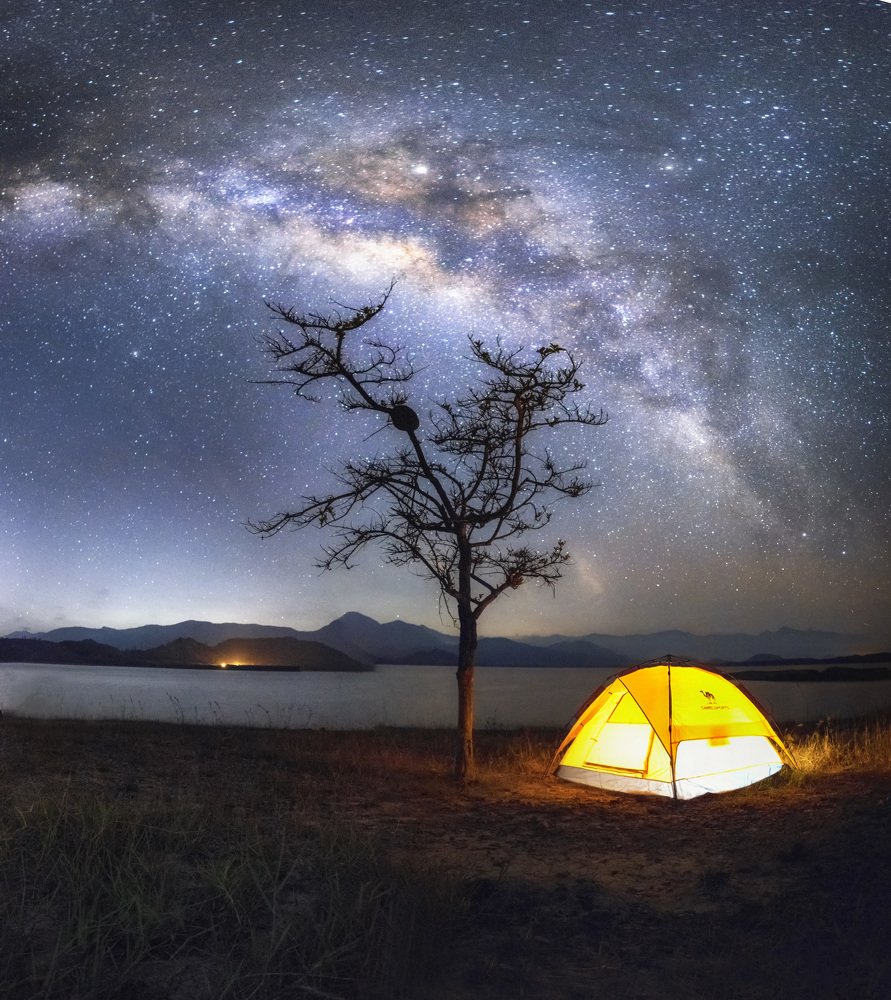 Lonely tree below galaxy