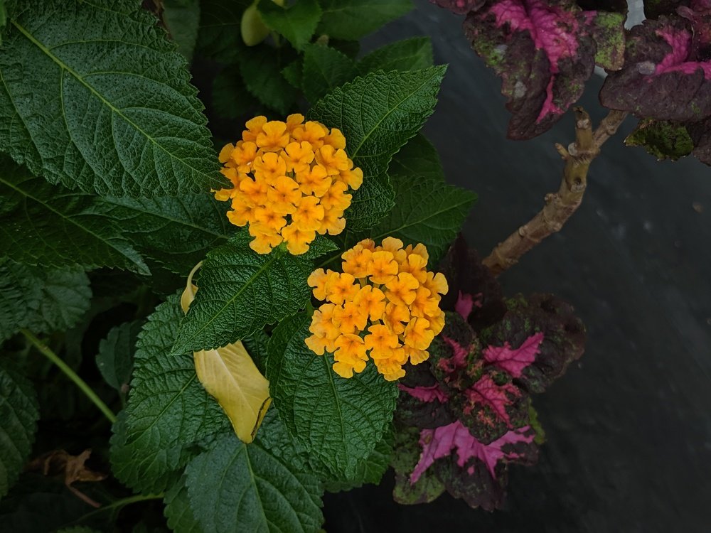 Photograph by Ardee Quindoza