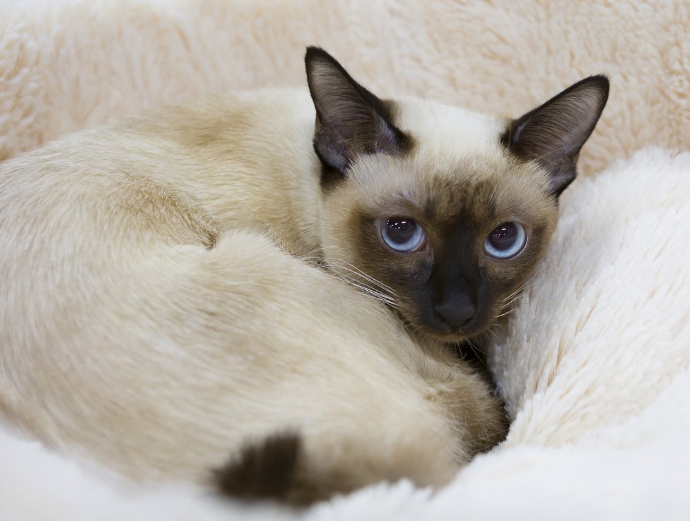 Photograph by Савина Галина