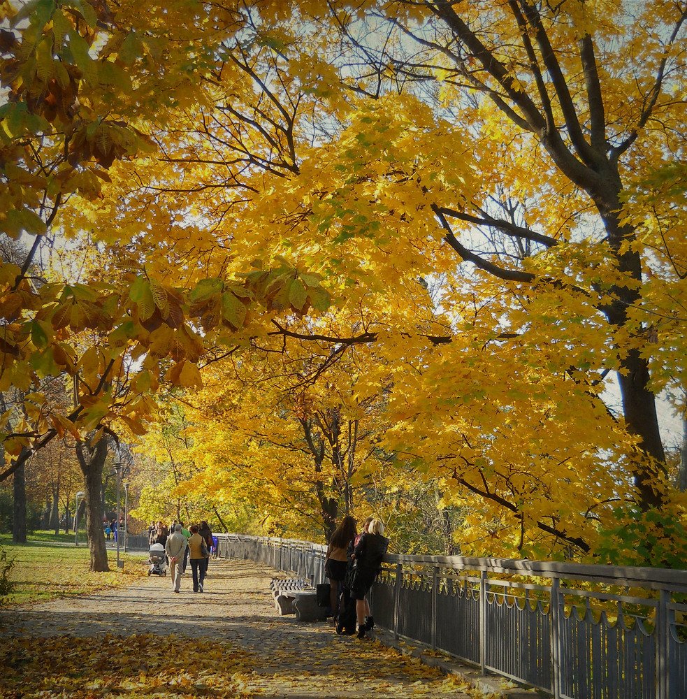 Триумф жёлтого