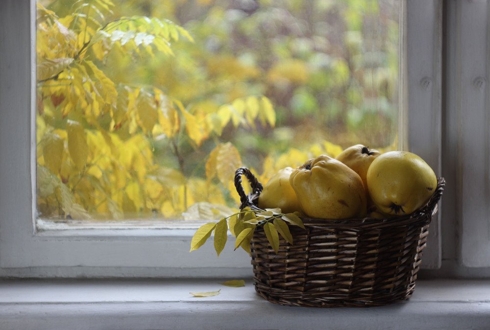 Осеннее окно