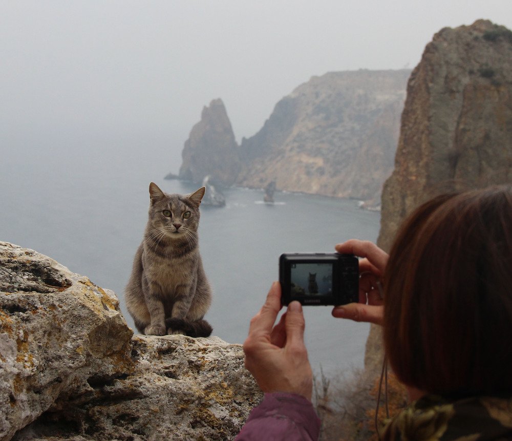 На фоне мыса Фиолент