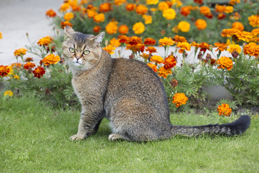 Photograph by Савина Галина