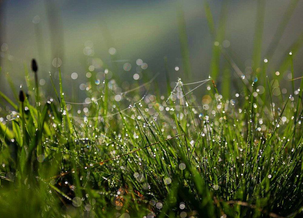 Photograph by raluca urdes