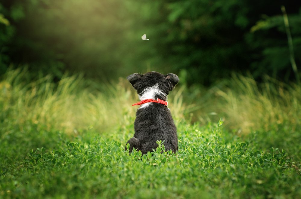 Photograph by Екатерина Кикоть