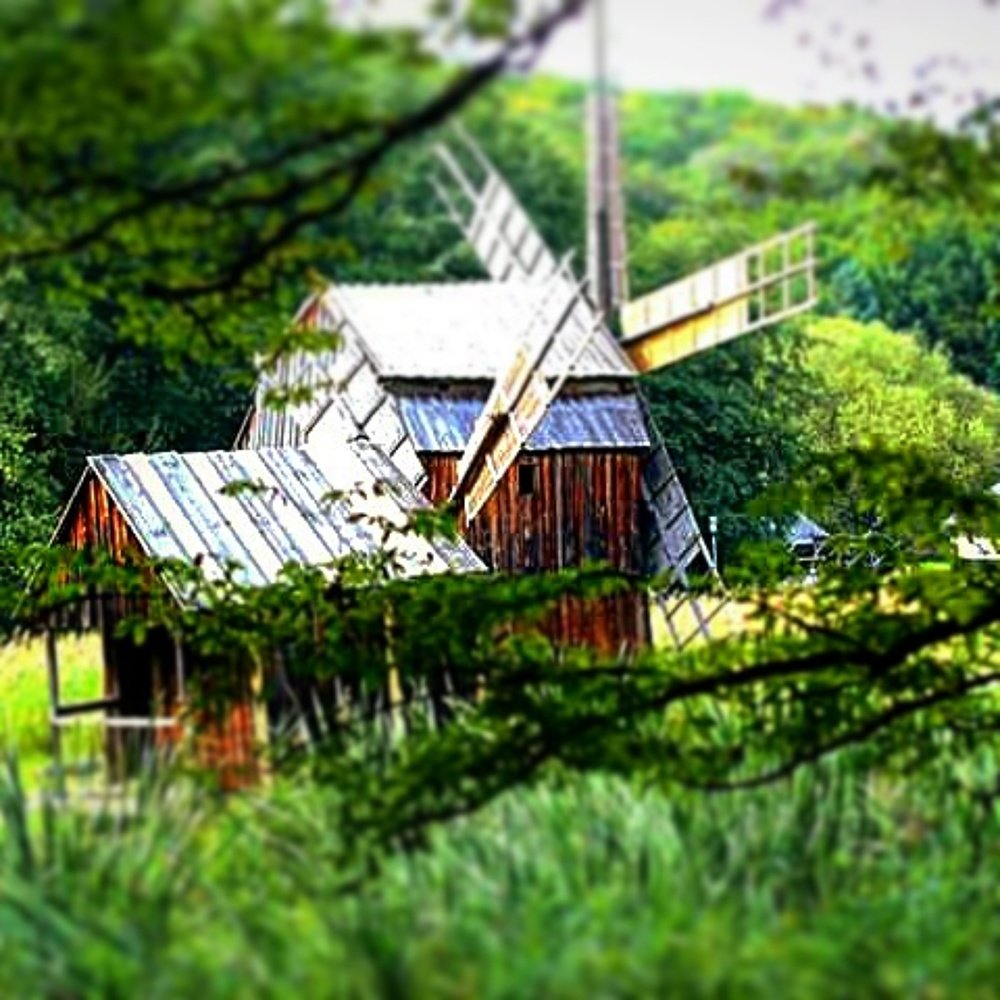 Photograph by raluca urdes