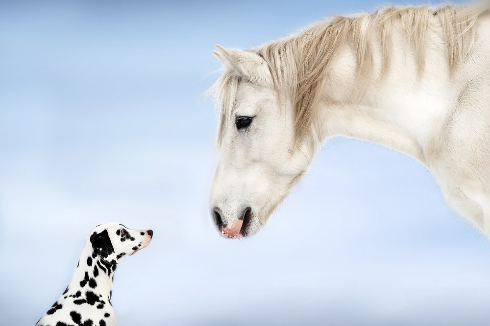 Photograph by Екатерина Кикоть