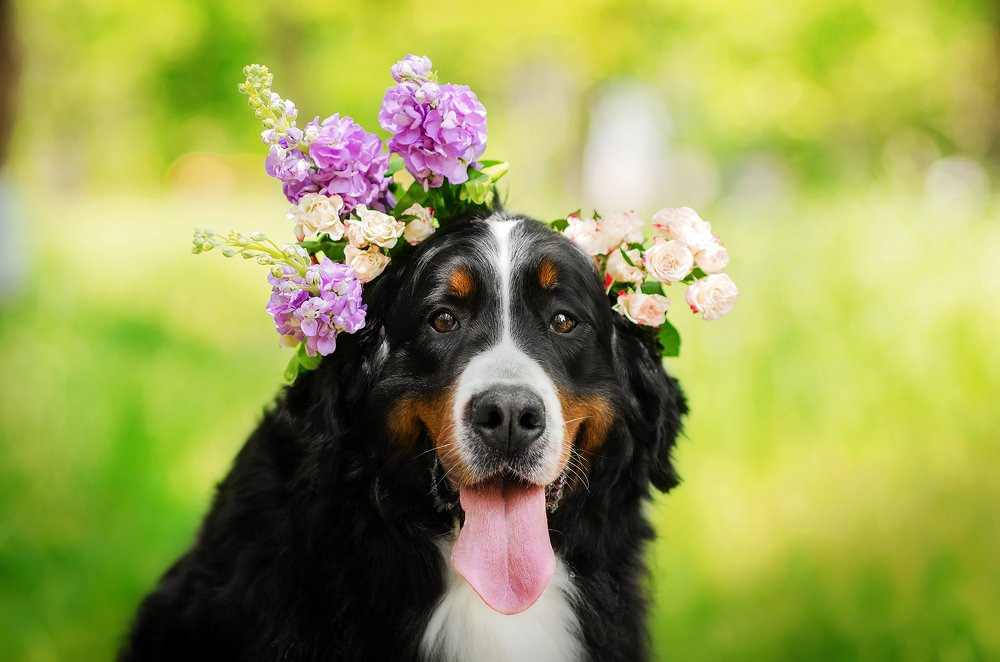 Photograph by Екатерина Кикоть