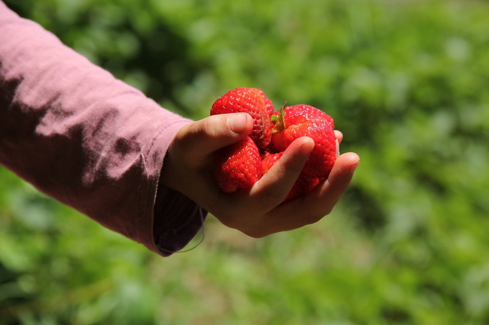 Photograph by omid zarei