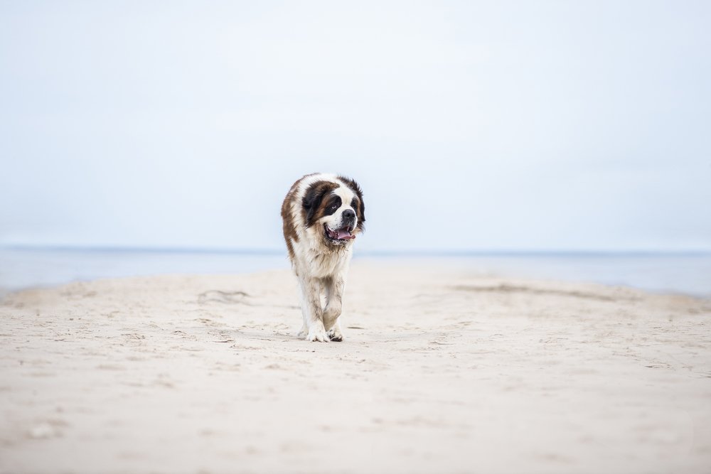 Photograph by Viktorija Jermolajeva