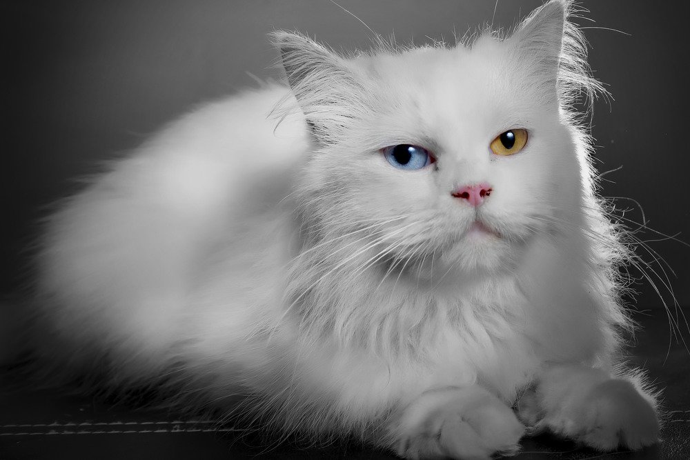 Photograph by Sandhi Satriagraha